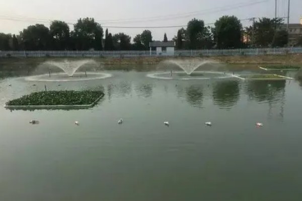 池塘养鱼的条件,形状以长方形为宜