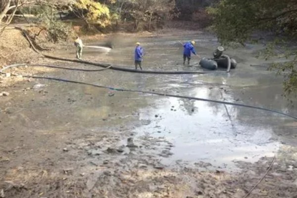 池塘养鱼的条件,形状以长方形为宜