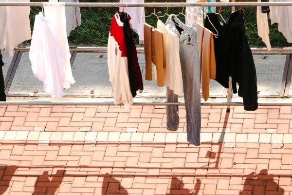 床上为什么有衣蛾幼虫，可能是外出不小心把虫卵带回到床上