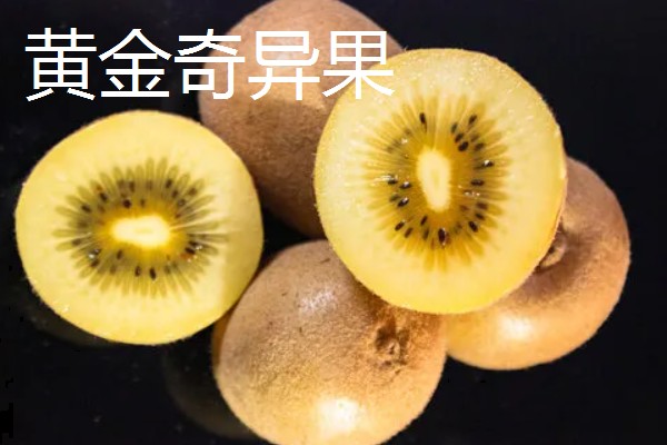 猕猴桃有什么好品种，以下四个品种值得选择