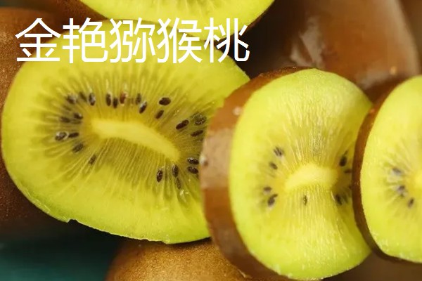 猕猴桃有什么好品种，以下四个品种值得选择