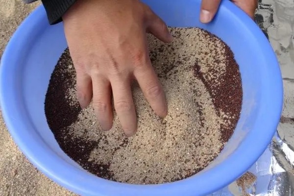 猕猴桃有什么好品种，以下四个品种值得选择