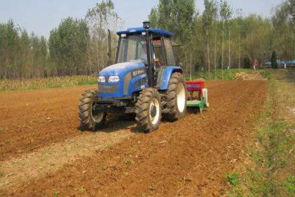 胡萝卜如何育苗，选择沙壤土种植为佳