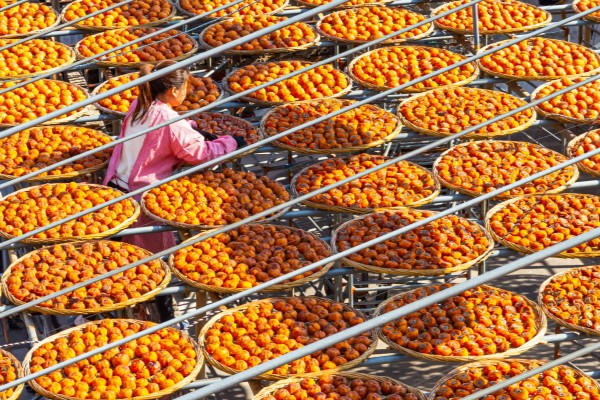 怎么保存柿饼,需减少与空气中的水分的接触