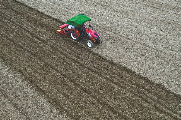 霜降播种小麦的播量,寒露时播种在9-12斤