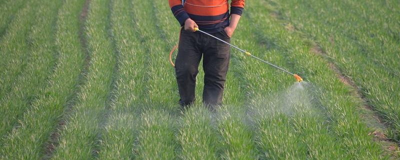 打除草剂过多久才能追肥，不同作物的间隔期有区别