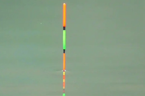 罗非鱼什么时候钓，最佳时间是4-10月