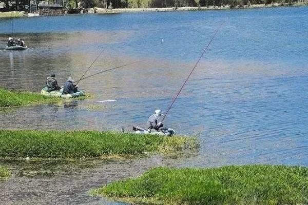 罗非鱼什么时候钓，最佳时间是4-10月