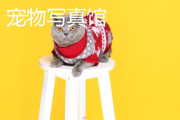 赚钱的小买卖有哪些，零食店、粥铺、汽车美容店等项目值得考虑