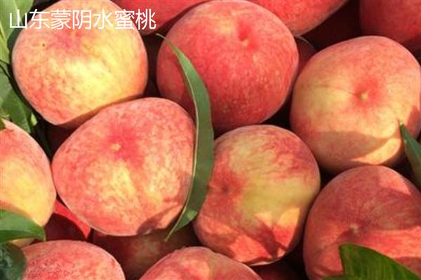 水蜜桃的花是什么颜色,是粉红色的