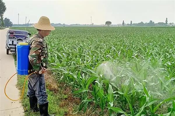 防治红蜘蛛的农药，可选择水胺硫磷乳油、氧化乐果乳油等