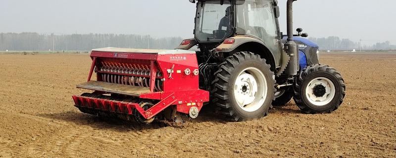 霜降播种小麦的播量，寒露时播种在9-12斤