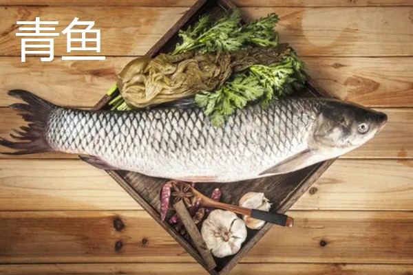 青鱼跟草鱼的区别，体型和颜色均不同