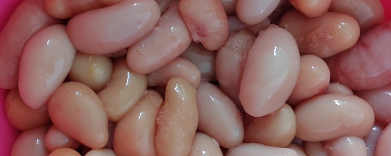 鸡腰子是鸡的哪个部位，是鸡肾