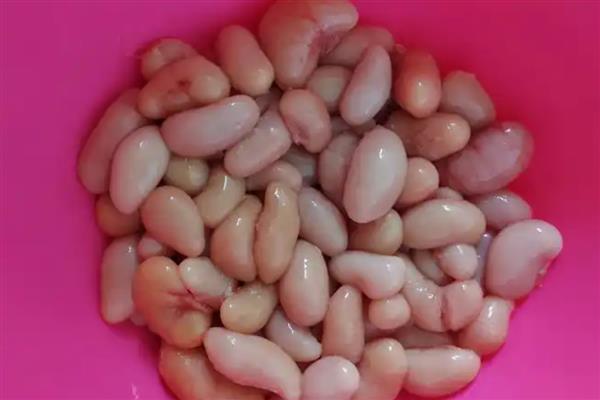 鸡腰子是鸡的哪个部位，是鸡肾