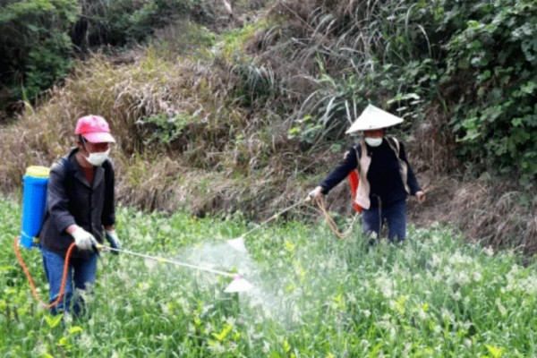 无公害蔬菜沼肥的施用注意事项，亩追肥量一次在1000-1500千克