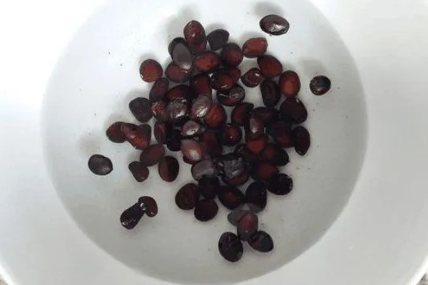 无公害蔬菜沼肥的施用注意事项，亩追肥量一次在1000-1500千克