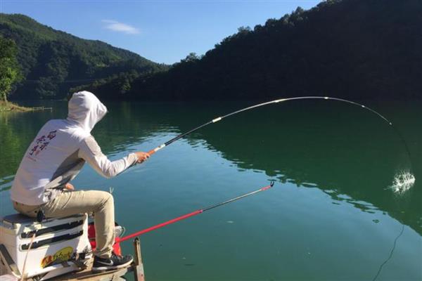 水库用什么鱼漂好，可选择枣核型以及流线型的