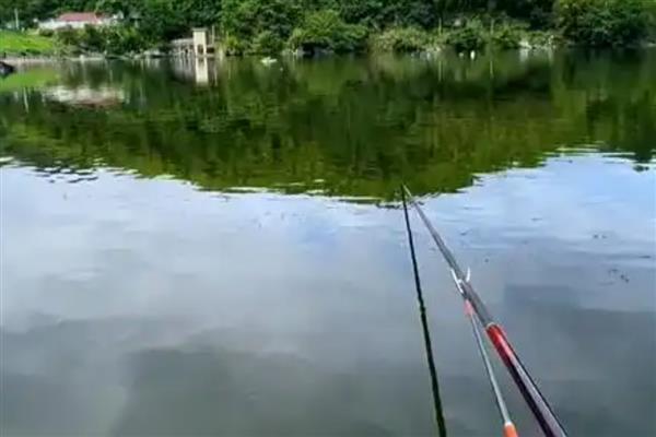 水库用什么鱼漂好，可选择枣核型以及流线型的
