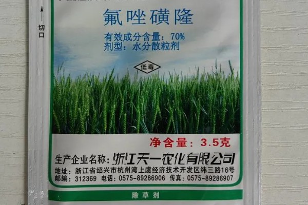 氟唑磺隆对多花黑麦草有效吗，处理封闭的多花黑麦草效果突出