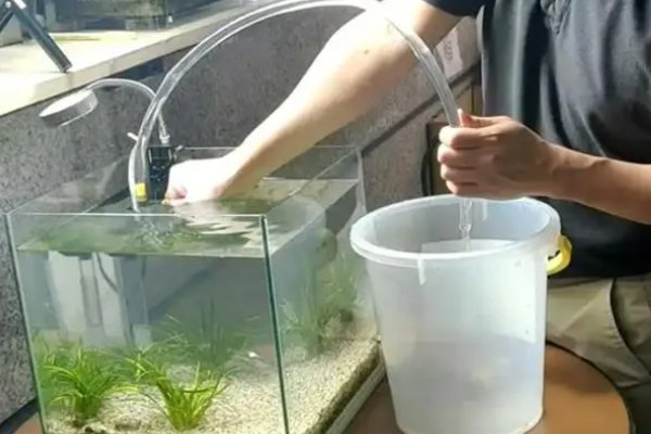 养鱼的好处，可以培养耐性