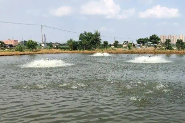 草鱼的养殖技术,PH值以7.5-8.5为宜