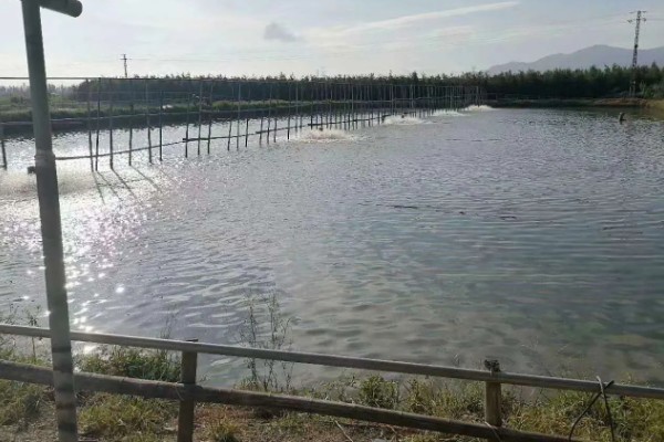 草鱼的养殖技术,PH值以7.5-8.5为宜