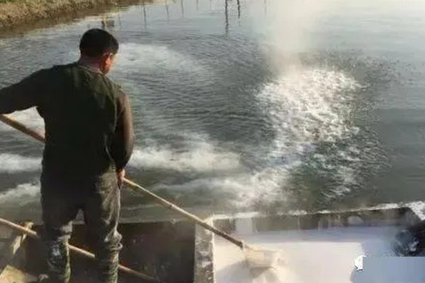 草鱼的养殖技术,PH值以7.5-8.5为宜