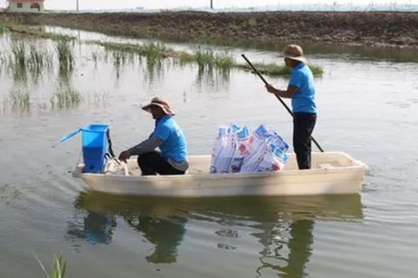 草鱼的养殖技术,PH值以7.5-8.5为宜