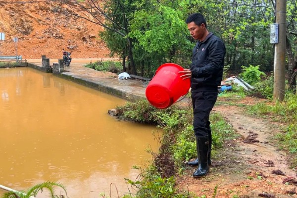 草鱼的养殖技术,PH值以7.5-8.5为宜