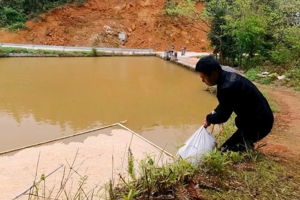 草鱼的养殖技术,PH值以7.5-8.5为宜