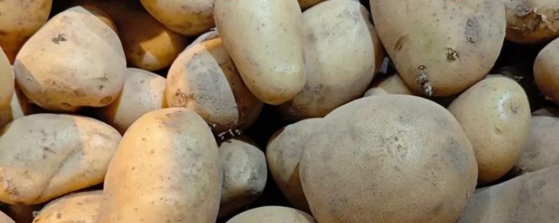 土豆放冰箱变黑色有哪些原因，削皮后遇到空气就会氧化