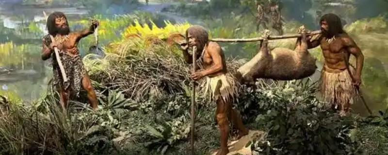 原始农业兴起和发展的标志是什么，包括种植和养殖的出现、磨制工具的发展等