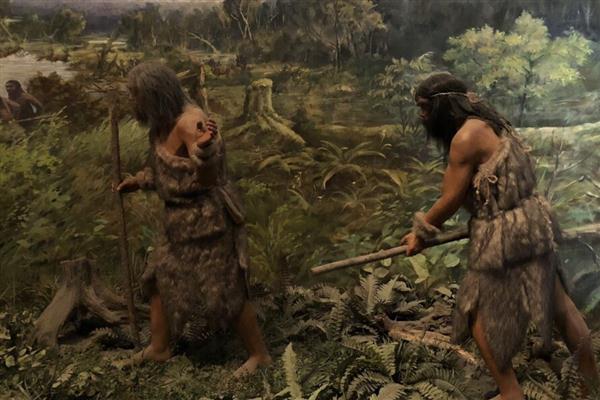 原始农业兴起和发展的标志是什么，包括种植和养殖的出现、磨制工具的发展等