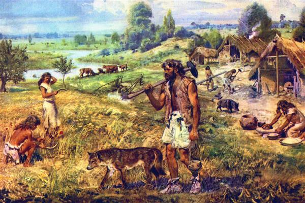 原始农业兴起和发展的标志是什么，包括种植和养殖的出现、磨制工具的发展等