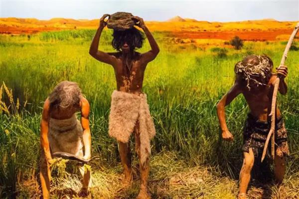 原始农业兴起和发展的标志是什么，包括种植和养殖的出现、磨制工具的发展等