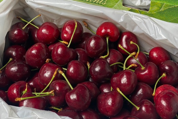 拉宾斯车厘子的品种介绍，是杂交培育品种