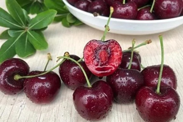 拉宾斯车厘子的品种介绍，是杂交培育品种