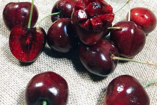 拉宾斯车厘子的品种介绍，是杂交培育品种