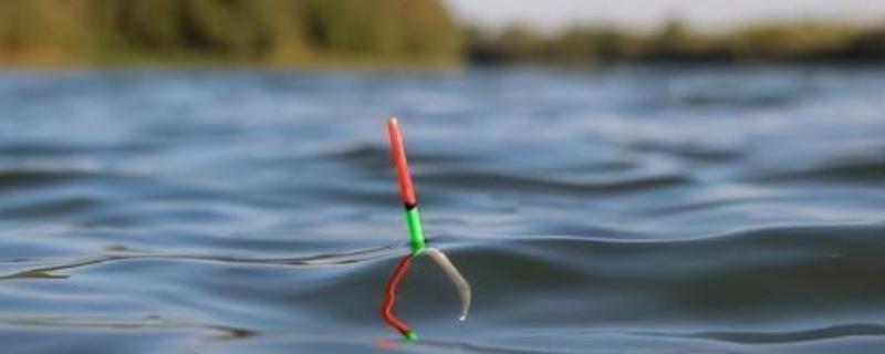 钓鱼浮标有什么用，可传递信号也可调整钓层