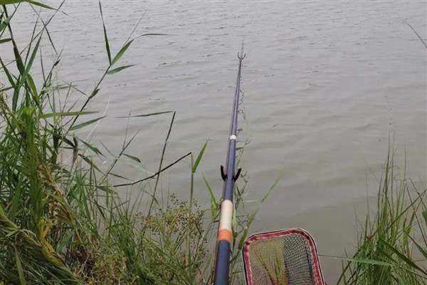 1号新关东钩能钓多小的鱼,最小可以钓半斤的鲫鱼