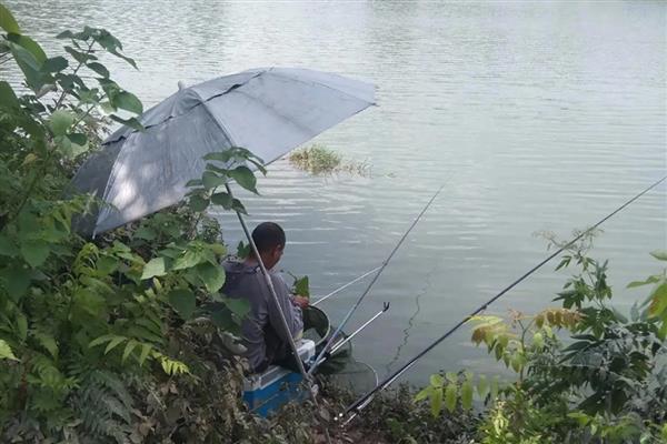 1号新关东钩能钓多小的鱼,最小可以钓半斤的鲫鱼