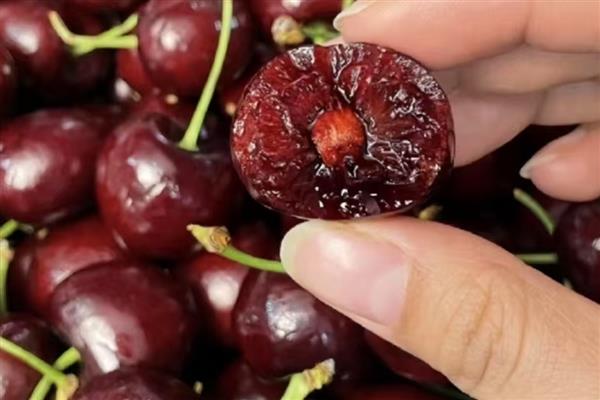 吃车厘子多少合适,一天吃10-20个左右就足够