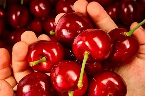 吃车厘子多少合适,一天吃10-20个左右就足够