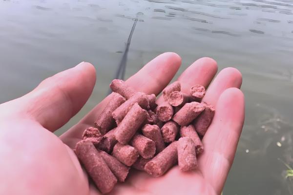 冬天东风适不适合钓鲫鱼,是最不活跃的季节