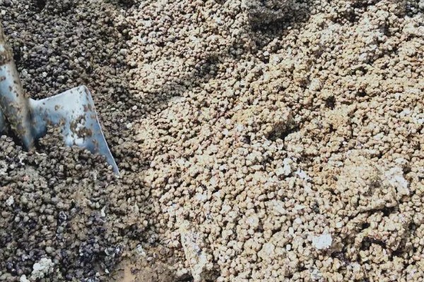 菜籽油渣做肥料还要发酵吗,需要进行发酵