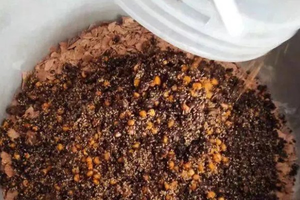 菜籽油渣做肥料还要发酵吗,需要进行发酵