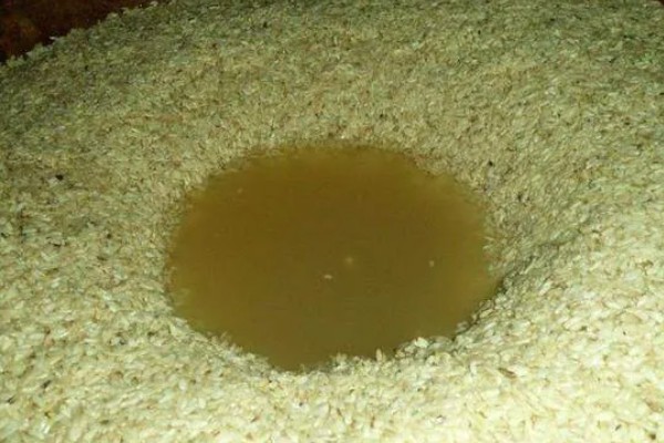 菜籽油渣做肥料还要发酵吗,需要进行发酵