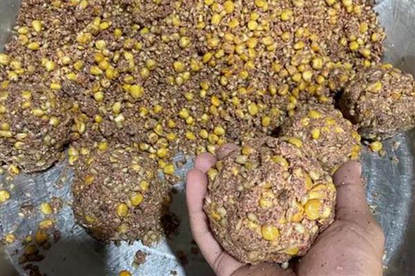 钓鲫鱼如何搭配窝料，可将各种谷物掺在一起并加水搅拌