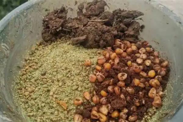 钓鲫鱼如何搭配窝料，可将各种谷物掺在一起并加水搅拌